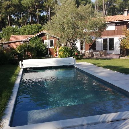 Maison Familiale En Bois Avec Piscine, Proche Du Bassin กูฌ็อง-เมสทราส ภายนอก รูปภาพ