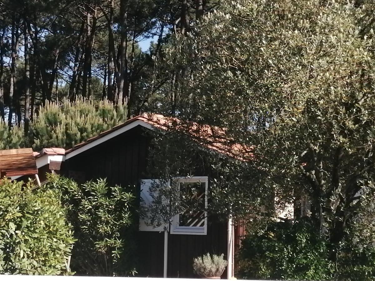Maison Familiale En Bois Avec Piscine, Proche Du Bassin กูฌ็อง-เมสทราส ภายนอก รูปภาพ