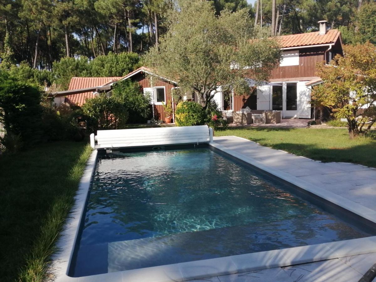 Maison Familiale En Bois Avec Piscine, Proche Du Bassin กูฌ็อง-เมสทราส ภายนอก รูปภาพ